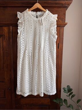 Madewell Eyelet Ruffle Sleeve Pintuck dress